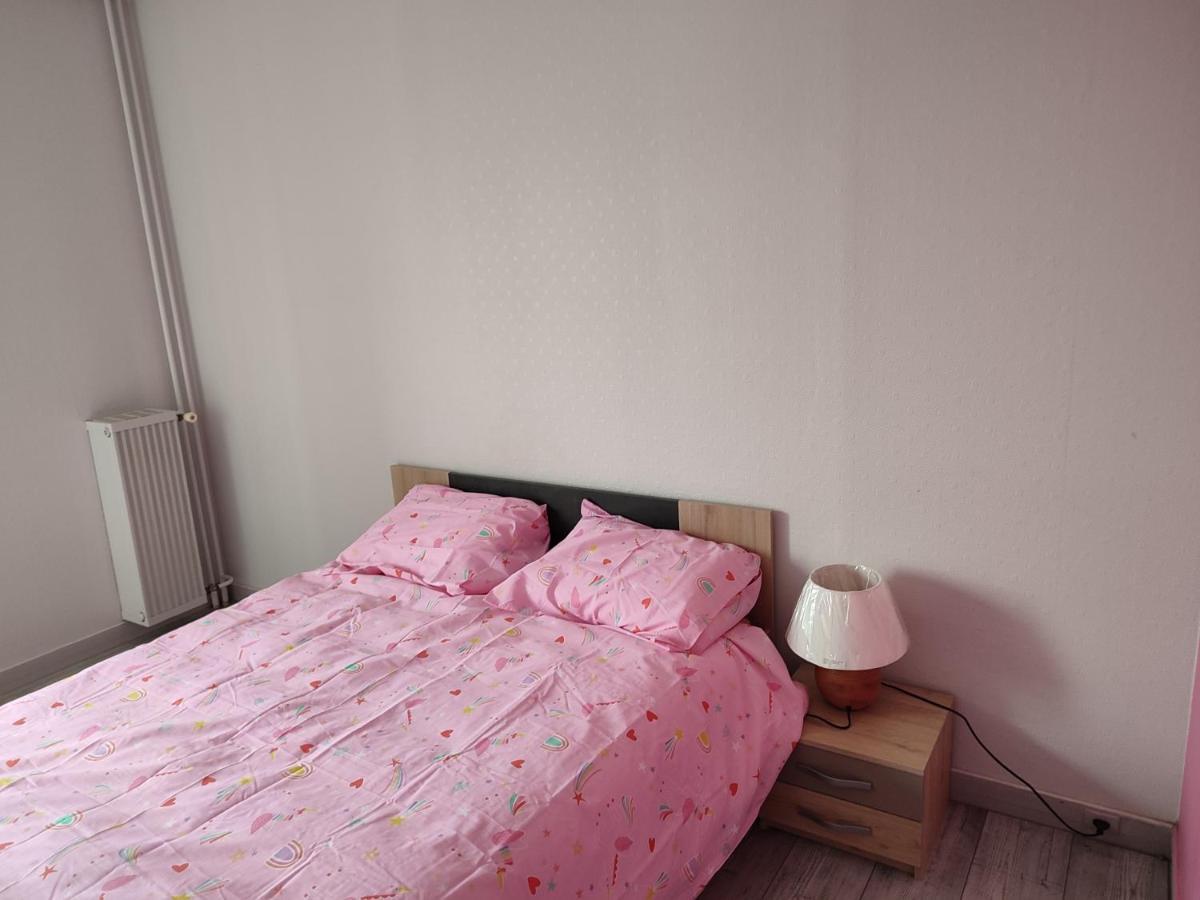 Grand Et Superbe Appartement Proche Paris Creil Εξωτερικό φωτογραφία